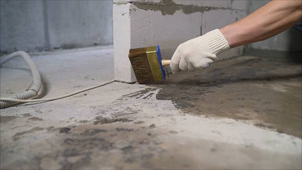 SJ Waterproofing Pros Waterproofing coverage map for Waukau, WI and surrounding area